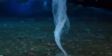 “Gishti i vdekjes”, filmohet fenomeni nënujor që pretendohet se vret gjithçka që prekë