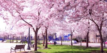 Zyrtarisht jemi në pranverë!