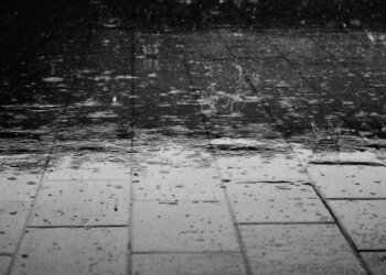 Moti për ditën e sotme