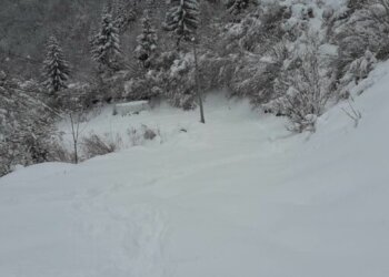 “Jemi bllokuar nga bora, trashësia është mbi 1.5 metra” qytetari në Facebook bën apel për ndihmë