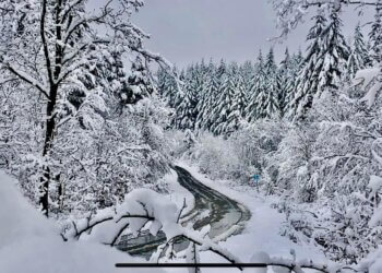 Moti për ditën e sotme