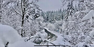 Moti për ditën e sotme