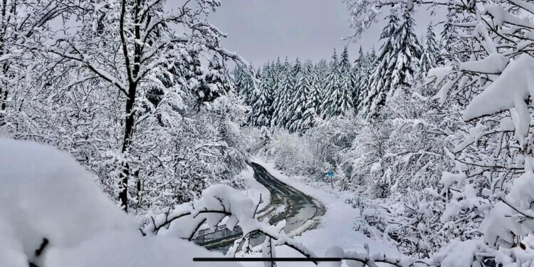 Moti për ditën e sotme