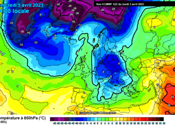 Moti javor, rrezik nga acari në disa rajone!