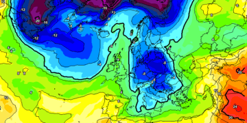 Moti javor, rrezik nga acari në disa rajone!