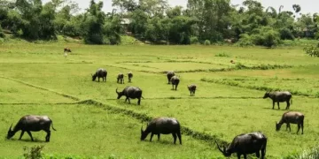 Njihuni me vendin më pak të vizituar në botë, thuhet se ka deri në “gjashtë stinë”