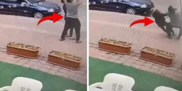 Tentuan të kapnin zogjtë në telat elektrikë, momenti tragjik kur dy të rinj i zë rryma
