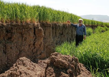 Toka bujqësore ndahet në dysh, njëra pjesë ulet me 2 metra pas tërmetit!