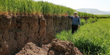 Toka bujqësore ndahet në dysh, njëra pjesë ulet me 2 metra pas tërmetit!