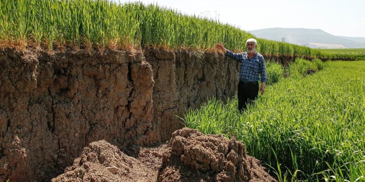 Toka bujqësore ndahet në dysh, njëra pjesë ulet me 2 metra pas tërmetit!