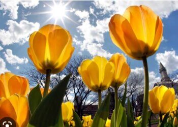 Moti nesër dhe ditëve në vazhdim! (06.05.2023.) E Shtunë