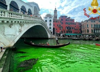 Çfarë treguan analizat për ujin me ngjyrë jeshile në Kanalin e Madh të Venecias