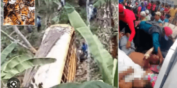 Bletët sulmojnë autobusin, 4 të vdekur