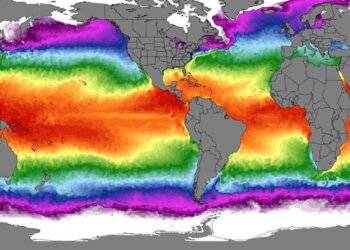 “Kjo është e frikshme”, temperaturat e larta të ujit të oqaneve ngrenë alarmin