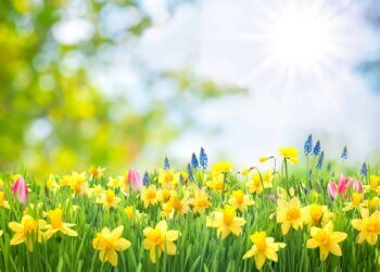 Moti nesër dhe ditëve në vazhdim! (05.05.2023.) E Premte