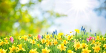 Moti nesër dhe ditëve në vazhdim! (05.05.2023.) E Premte