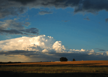 Moti për ditën e sotme