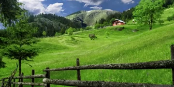 Hyjmë në verë, sot dita më e gjatë e vitit