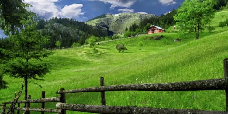 Hyjmë në verë, sot dita më e gjatë e vitit