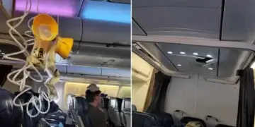 Moment jo i këndshëm, pasagjerët ‘fluturojnë’ brenda avionit nga turbulencat e forta!