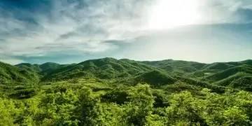 Të shëtisësh në natyrë, zgjidhja më e mirë kundër stresit!