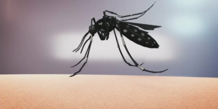 Mushkonjat mjaft problematike sivjet, ja si i mbijetojnë dimrit dhe sëmundjet që shkaktojnë!