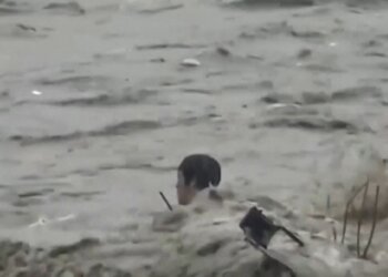 Makina u rrokullis dhe ngeci në mes të ujit, por ky njeri është me fat! (Video)