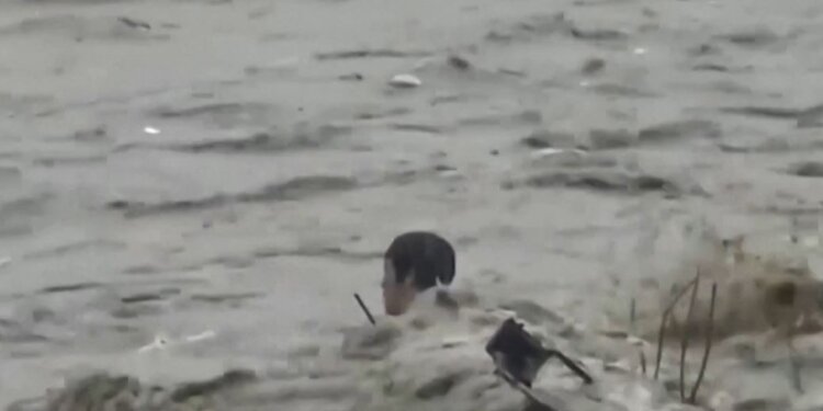 Makina u rrokullis dhe ngeci në mes të ujit, por ky njeri është me fat! (Video)