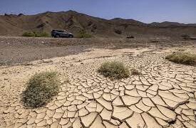 Alarm i kuq thuajse në mbarë botën, Evropa dhe SHBA përvëlohen nga i nxehti, përmbytje në Azi
