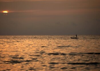 Temperatura rekorde edhe në oqean