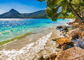 Mesdheu po “vlon” nga i nxehti, temperatura e sipërfaqes së detit thyen rekordin historik!