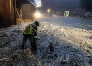 Breshëri i madh në Gjermani, vret shpendë dhe kafshë – shikoni pamjet