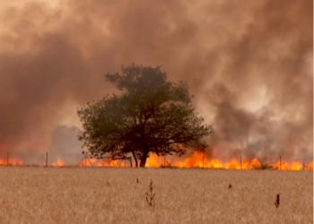 Havai, shumë viktima nga zjarret më vdekjeprurëse në SHBA në mbi 100 vjet