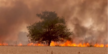 Havai, shumë viktima nga zjarret më vdekjeprurëse në SHBA në mbi 100 vjet