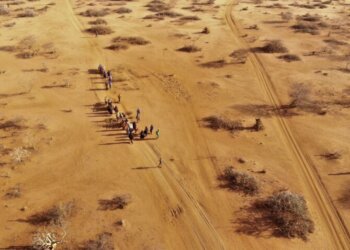 Agjencia e OKB-së për ushqim: 47 milionë njerëz një hap larg urisë