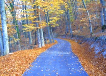 Hyjmë në vjeshtë!