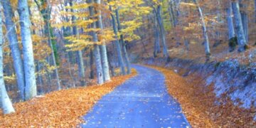 Hyjmë në vjeshtë!