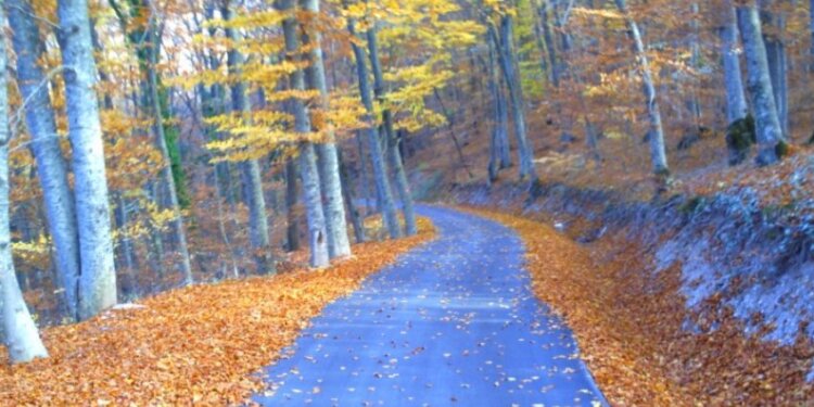 Hyjmë në vjeshtë!