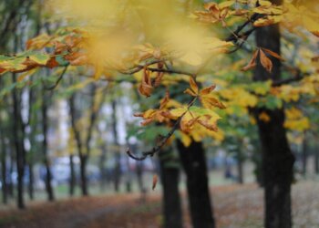 Kur është ekuinoksi i vjeshtës