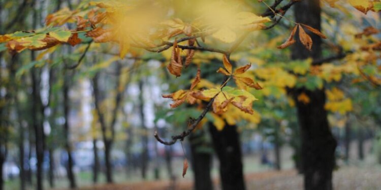 Kur është ekuinoksi i vjeshtës