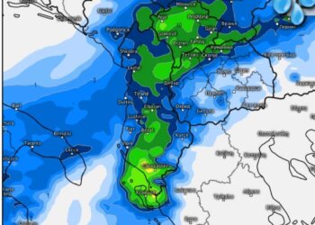 Moti javor, reshje më të kënaqshme shiu!