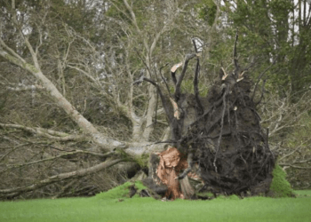 Erërat e fuqishme: Avioni nuk mund të ulet në Düsseldorf, tentoi katër herë