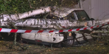 Cyrihu në Zvicër, me dëme të rënda nga stuhia