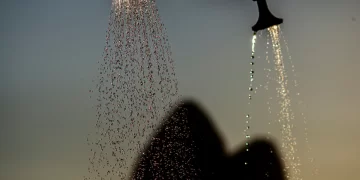 Brazili “përvëlohet” nga i nxehti