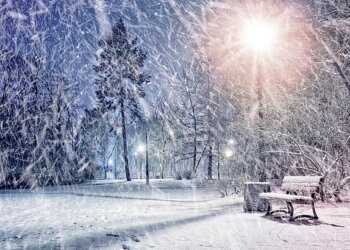 Kosova zbardhet nga bora