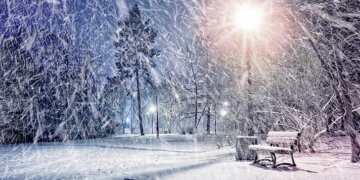 Kosova zbardhet nga bora