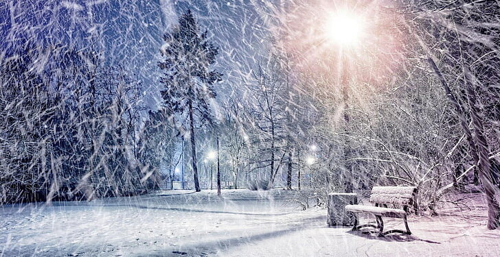 Kosova zbardhet nga bora