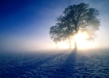 Moti për ditën e sotme