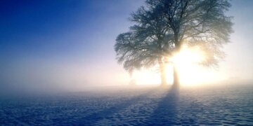 Moti për ditën e sotme