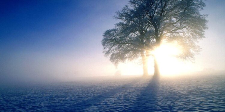 Moti për ditën e sotme